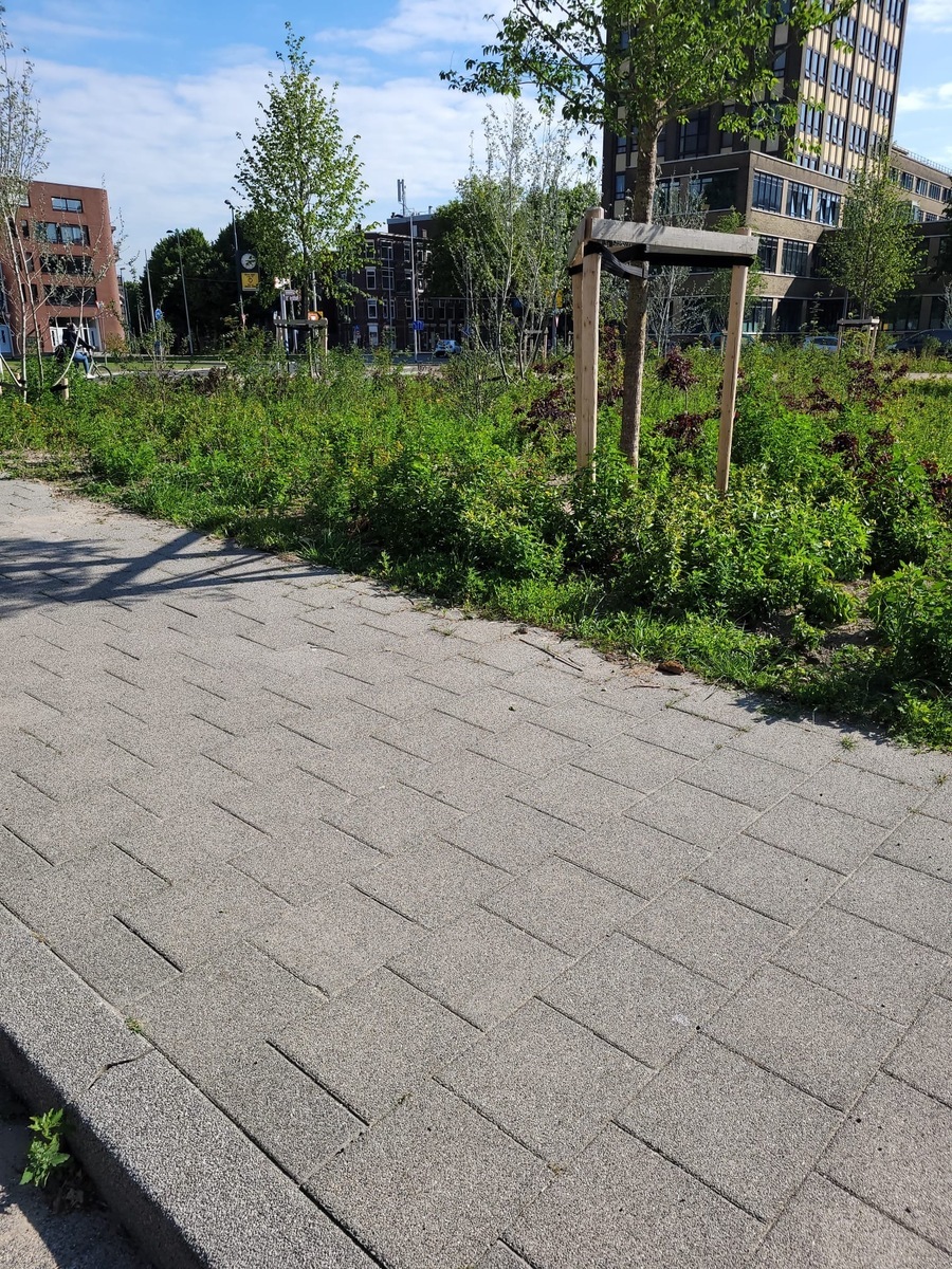 Wascon® uitgewassen betontegel