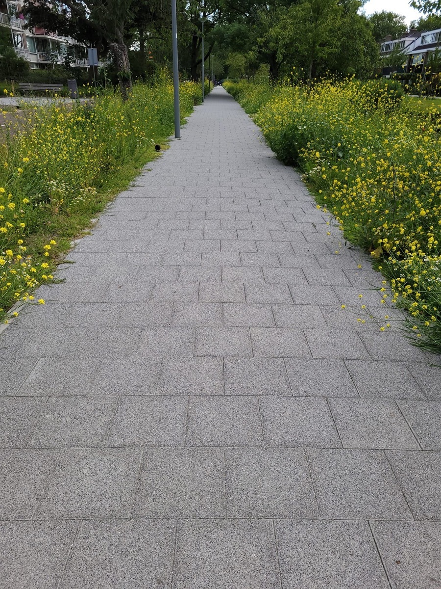 Wascon® uitgewassen betontegel