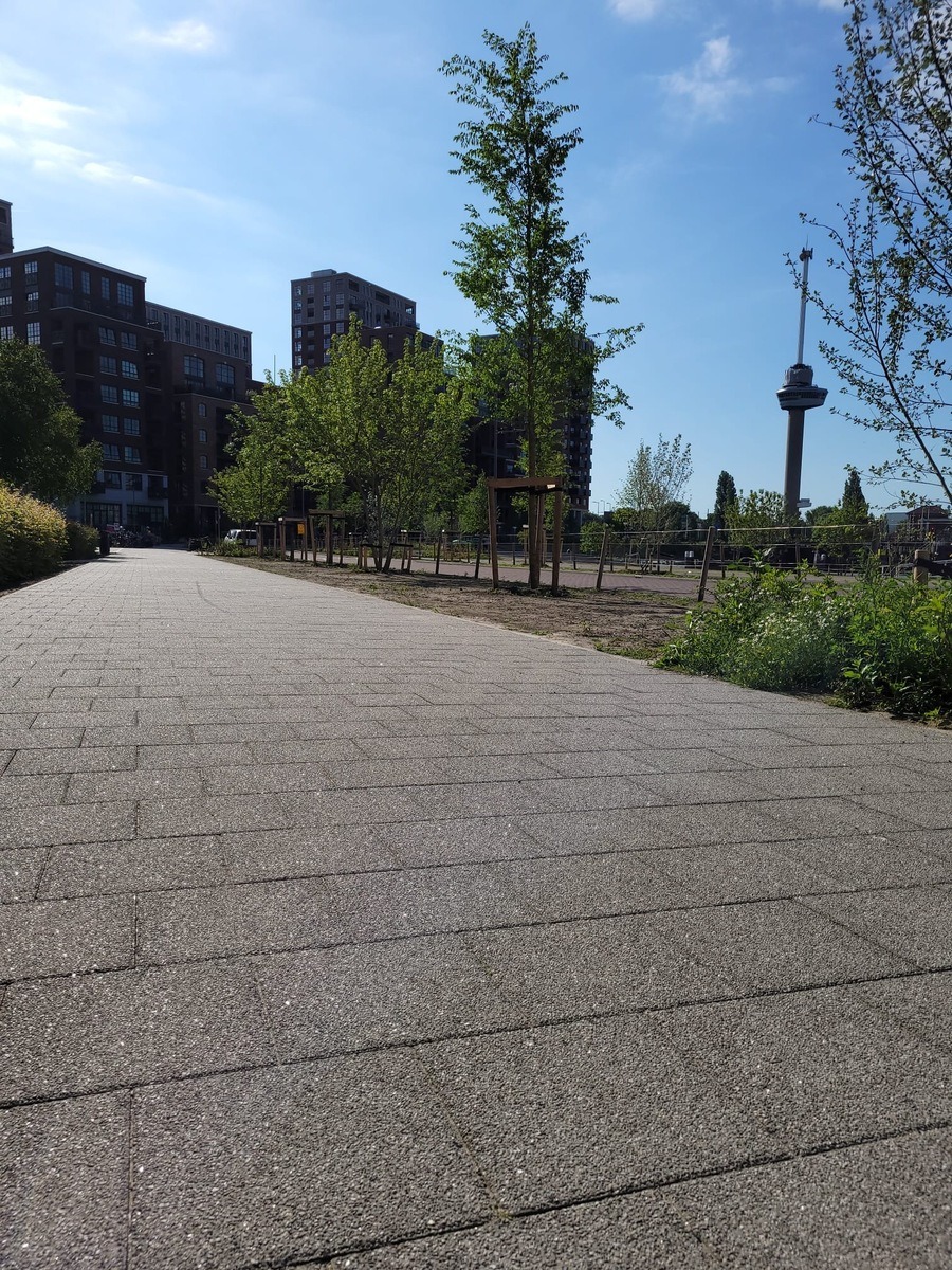 Wascon® uitgewassen betontegel