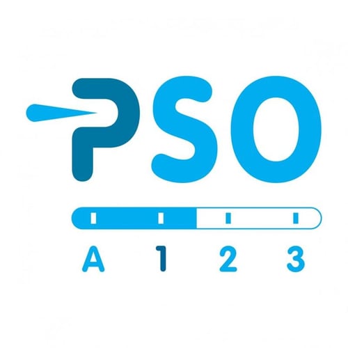 PSO Prestatieladder